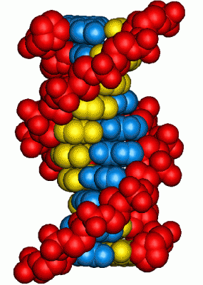 Moléculas de ADN